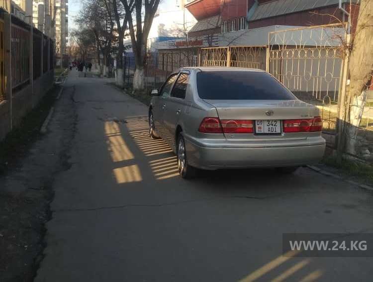 читателя 24-kg.com