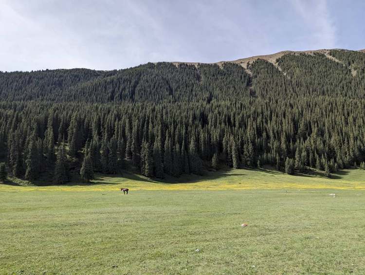 Суйунбека Урпоева