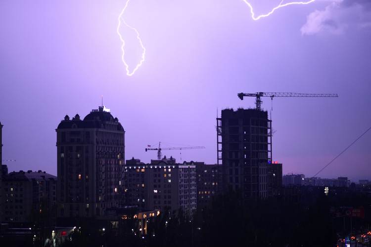 Елены Мещеряковой