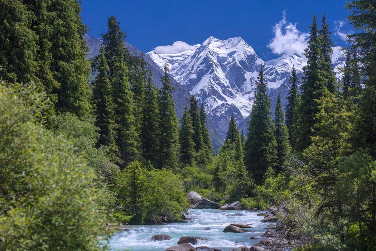 Татьяны Меньшиковой