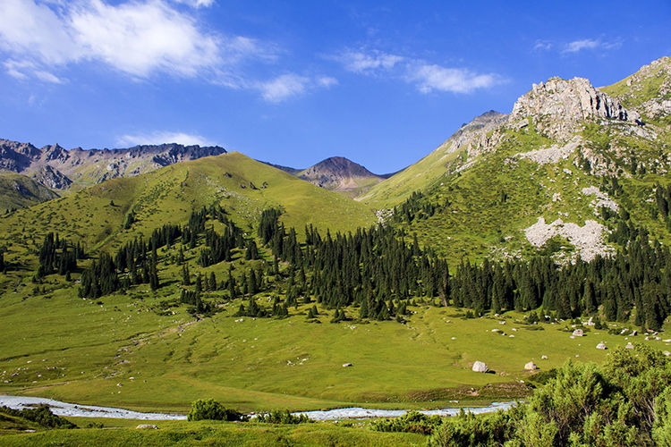 из интернета