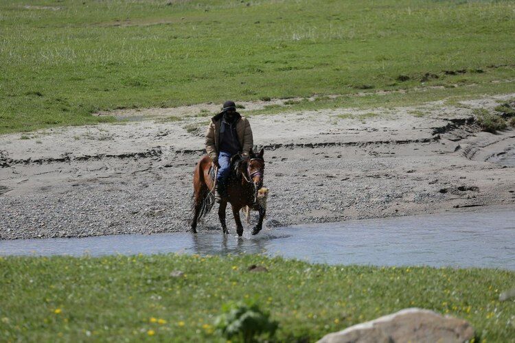 Бактыбека Мейманбекова