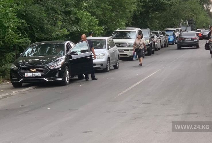 читателя 24-kg.com