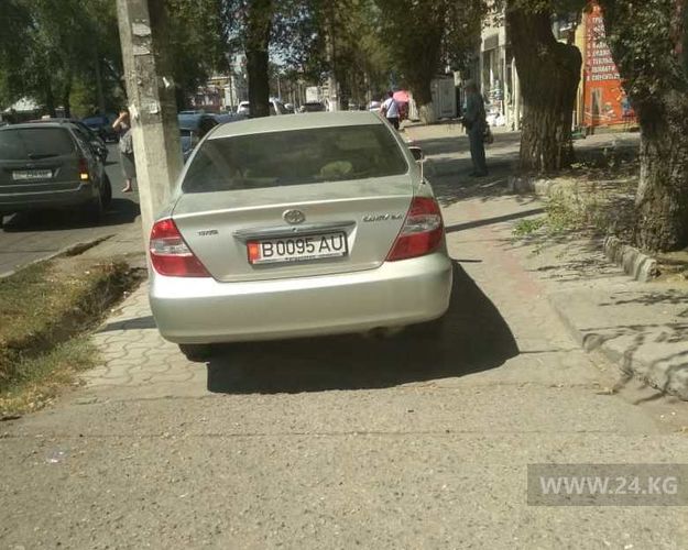 читателя 24-kg.com