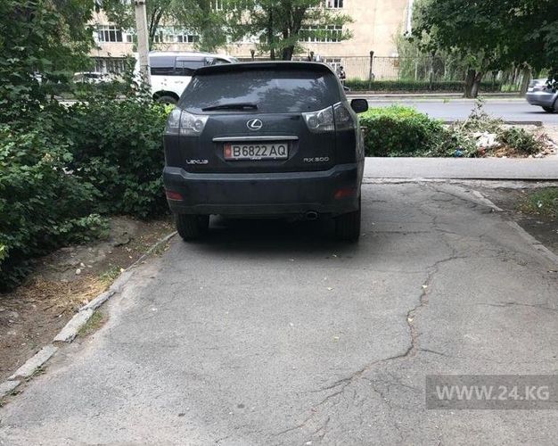 читателя 24-kg.com