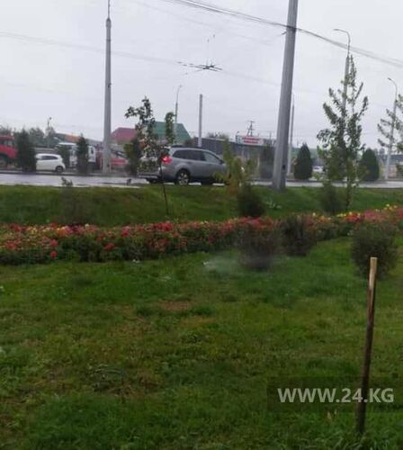 читателя 24-kg.com