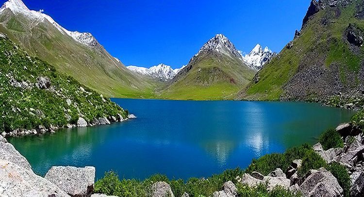 из интернета