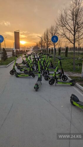 читателя 24-kg.com