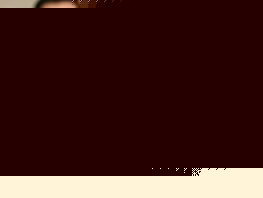 Sadyr Japarov to attend C5+1 summit in Washington at Trump's invitation