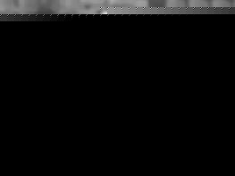 В&nbsp;Сербии главный тренер клуба Суперлиги умер, потеряв сознание во&nbsp;время матча 