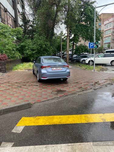 читателя 24-kg.com