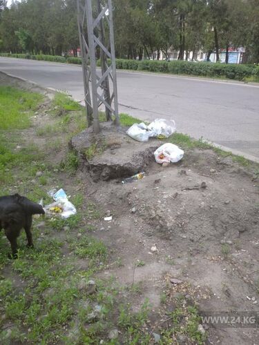 читателя 24-kg.com