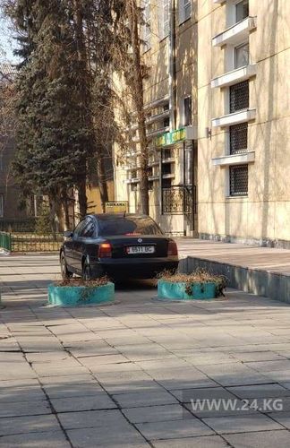 читателя 24-kg.com