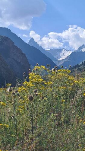 Айнуры Базарбаевой