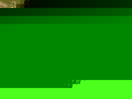 Kyrgyzstan postpones agricultural census