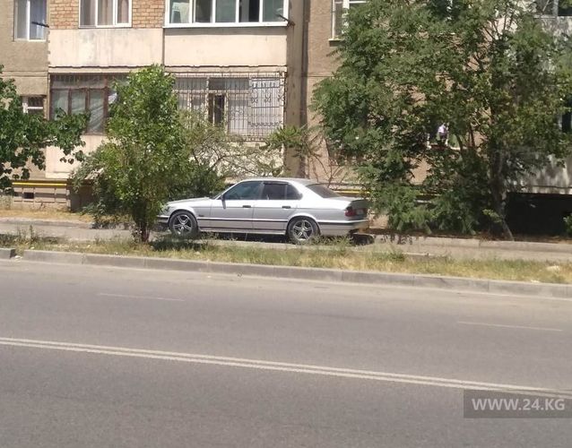 читателя 24-kg.com