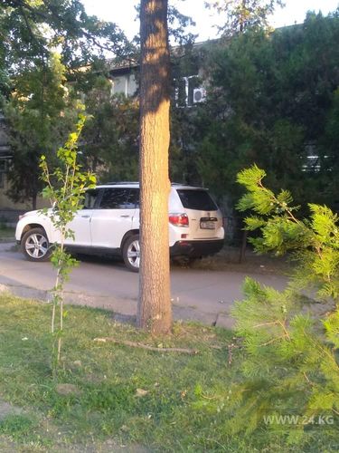 читателя 24-kg.com