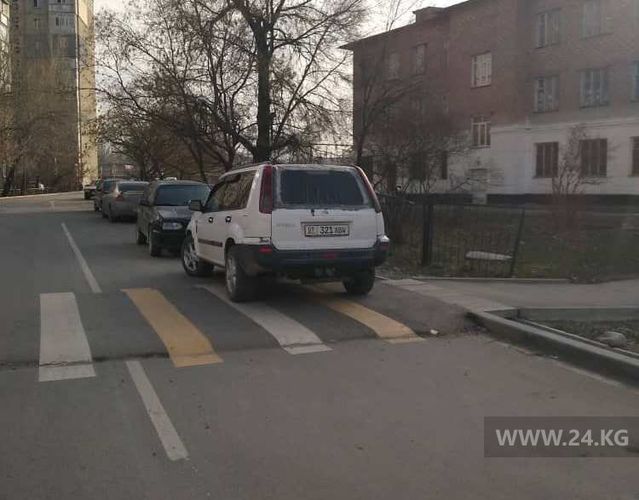 читателя 24-kg.com