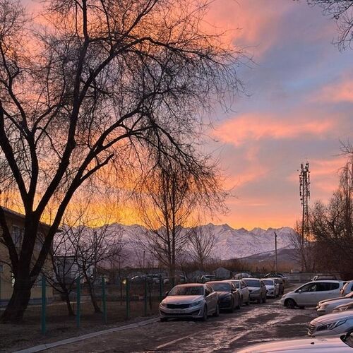 Екатерины Галенко