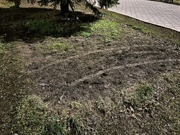 Мэрию Бишкека просят наказать владельцев аттракционов, уничтожающих клумбы 