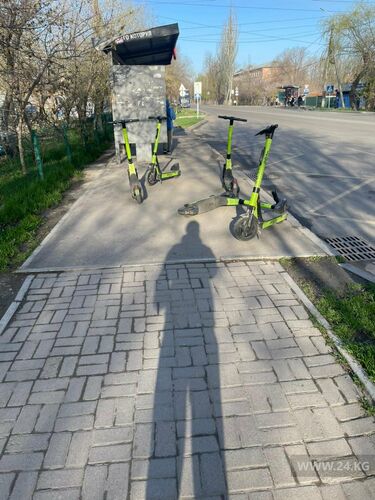 читателя 24-kg.com