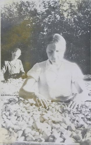 Иссык-Кульского областного государственного архива