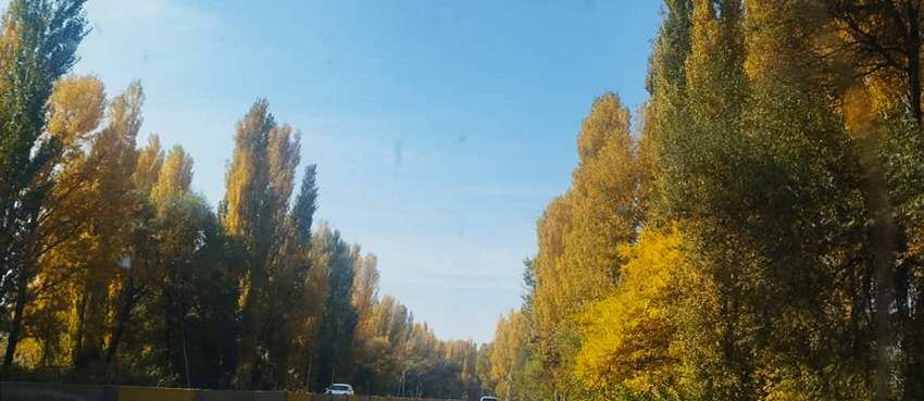 Сергея Ханова