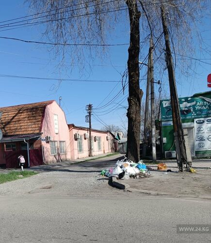 читателя 24-kg.com