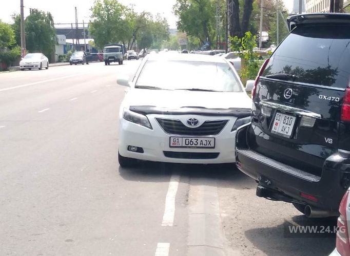 читателя 24-kg.com