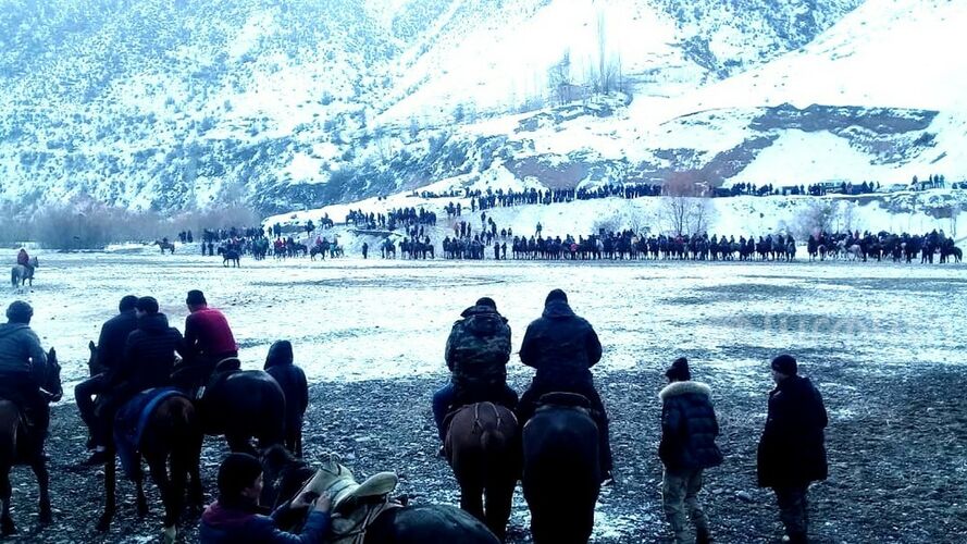 иллюстративное