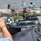 Фото МП «Бишкекзеленхоз». Тополь упал и придавил три машины