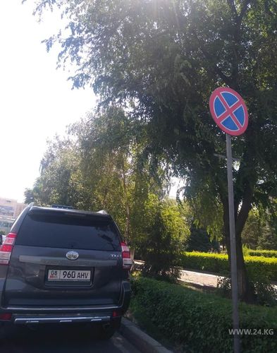 читателя 24-kg.com