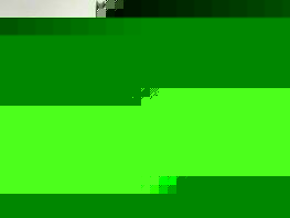 Bloggers Sary Kyz and Argen Sigma to assist officials in developing tourism 