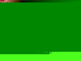 Женская команда по&nbsp;футболу &laquo;Илбирс&raquo; стала чемпионом 2025 года 