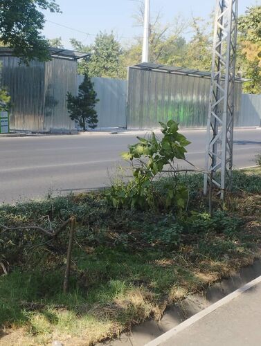 читателя 24-kg.com