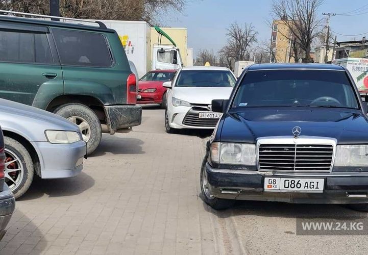 читателя 24-kg.com