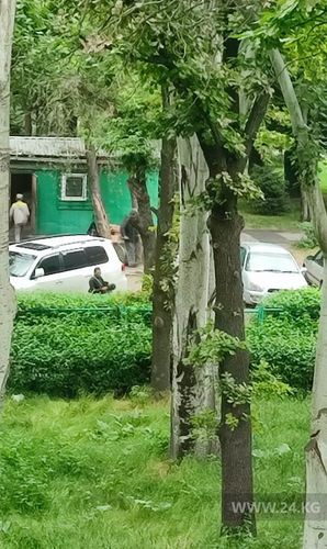 читателя 24-kg.com