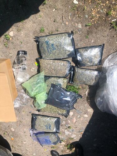 Таможенной службы