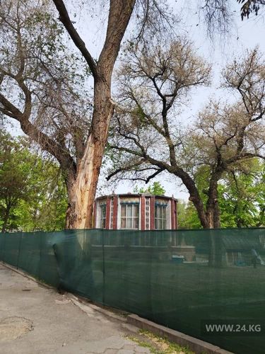 читателя 24-kg.com