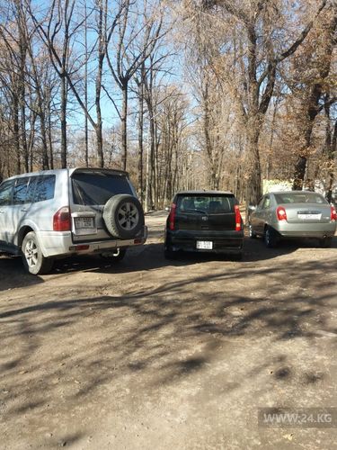 читателя 24-kg.com