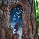 Фото блог Сергея Собянина. Рисунки на деревьях продлевают им жизнь