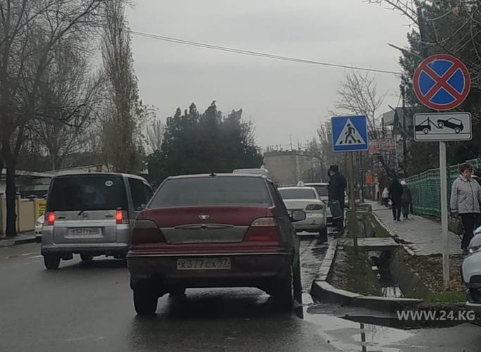 читателя 24-kg.com