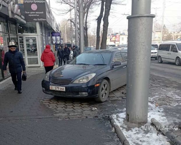 читателя 24-kg.com