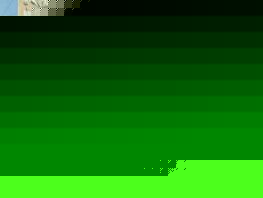 Бишкек без фильтров: почему замена кустарников газонами губит экологию города 