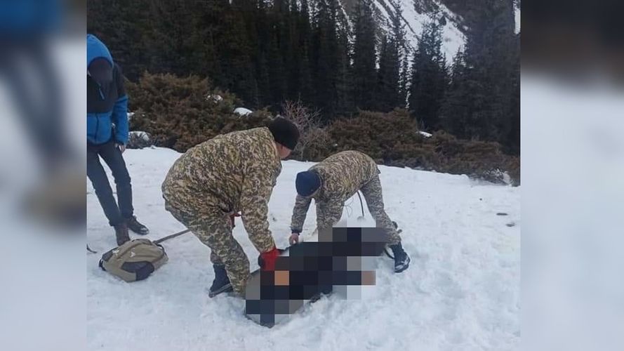 пресс-службы МЧС