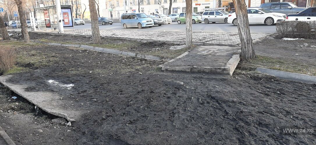 читателя 24-kg.com