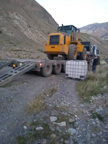 Александра Верещагина