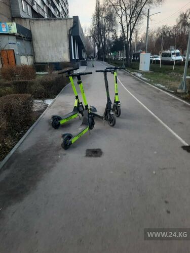 читателя 24-kg.com