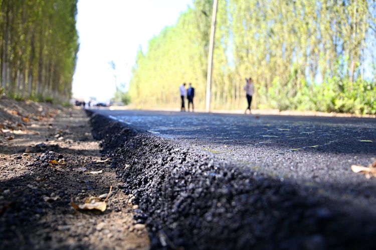 мэрии южной столицы