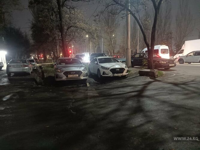 читателя 24-kg.com